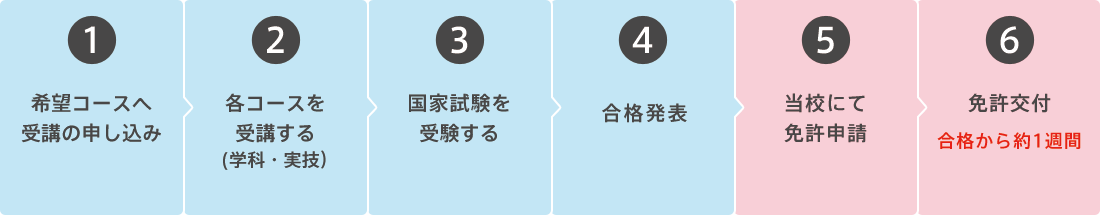 免許交付までの流れ